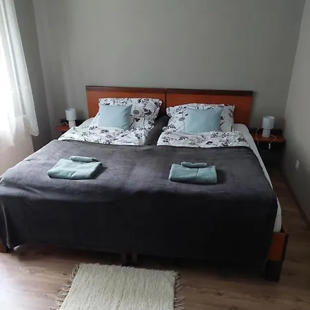 Jani Vendeghaz Ground Floor & Apartman Balatonfured Exterior photo